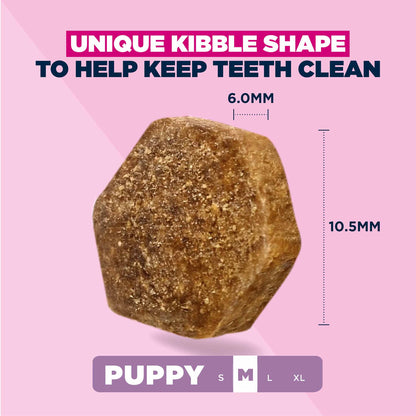 Eukanuba Medium Breed Puppy Food - Chicken