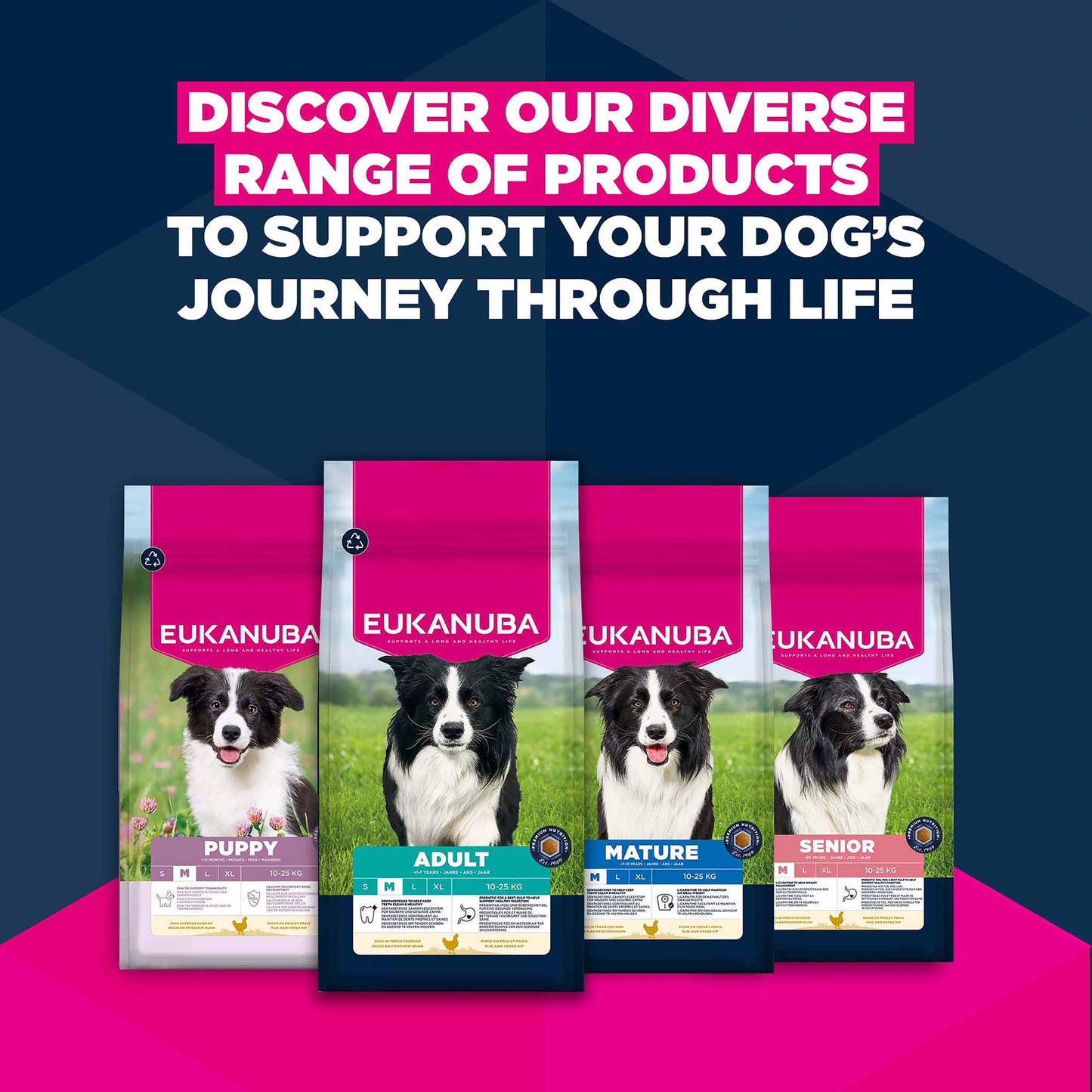 Eukanuba Medium Breed Puppy Food - Chicken
