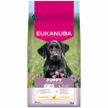 Eukanuba Large Breed Puppy Food - Chicken