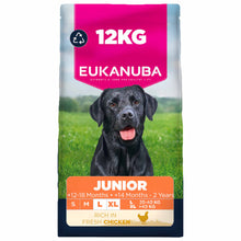 Eukanuba Large Breed Junior Dry Dog Food - Chicken