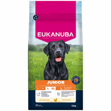 Eukanuba Large Breed Junior Dry Dog Food - Chicken