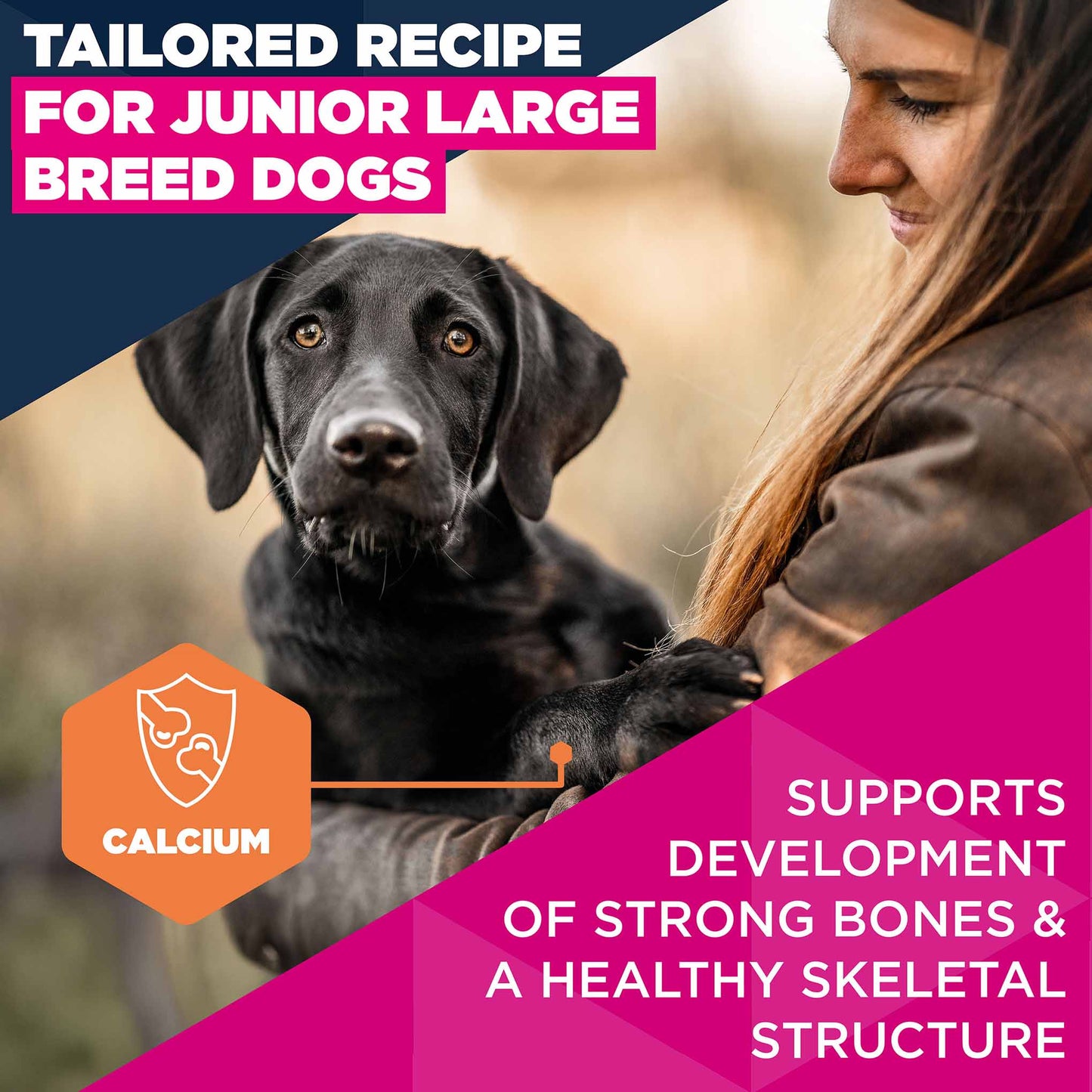 Eukanuba Large Breed Junior Dry Dog Food - Chicken