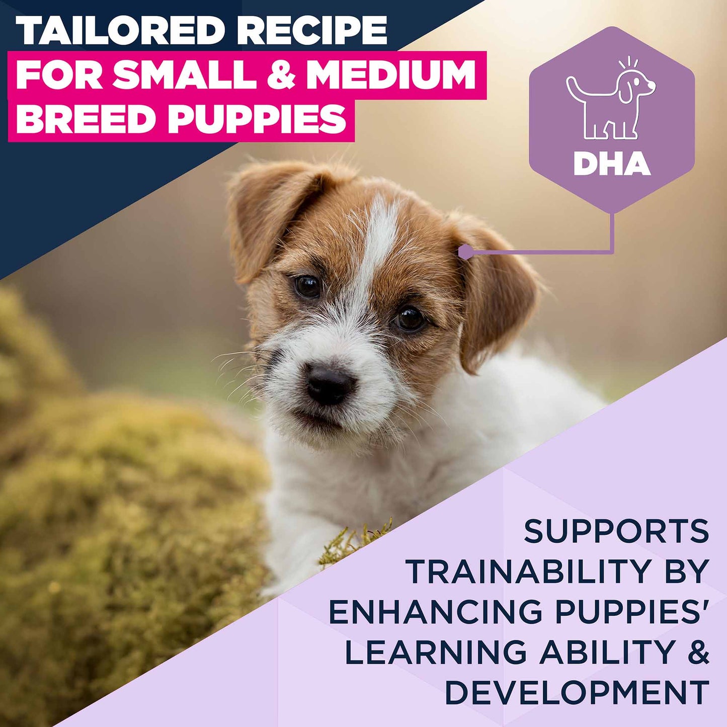Eukanuba Small/Medium Breed Puppy Dry Dog Food - Lamb & Rice
