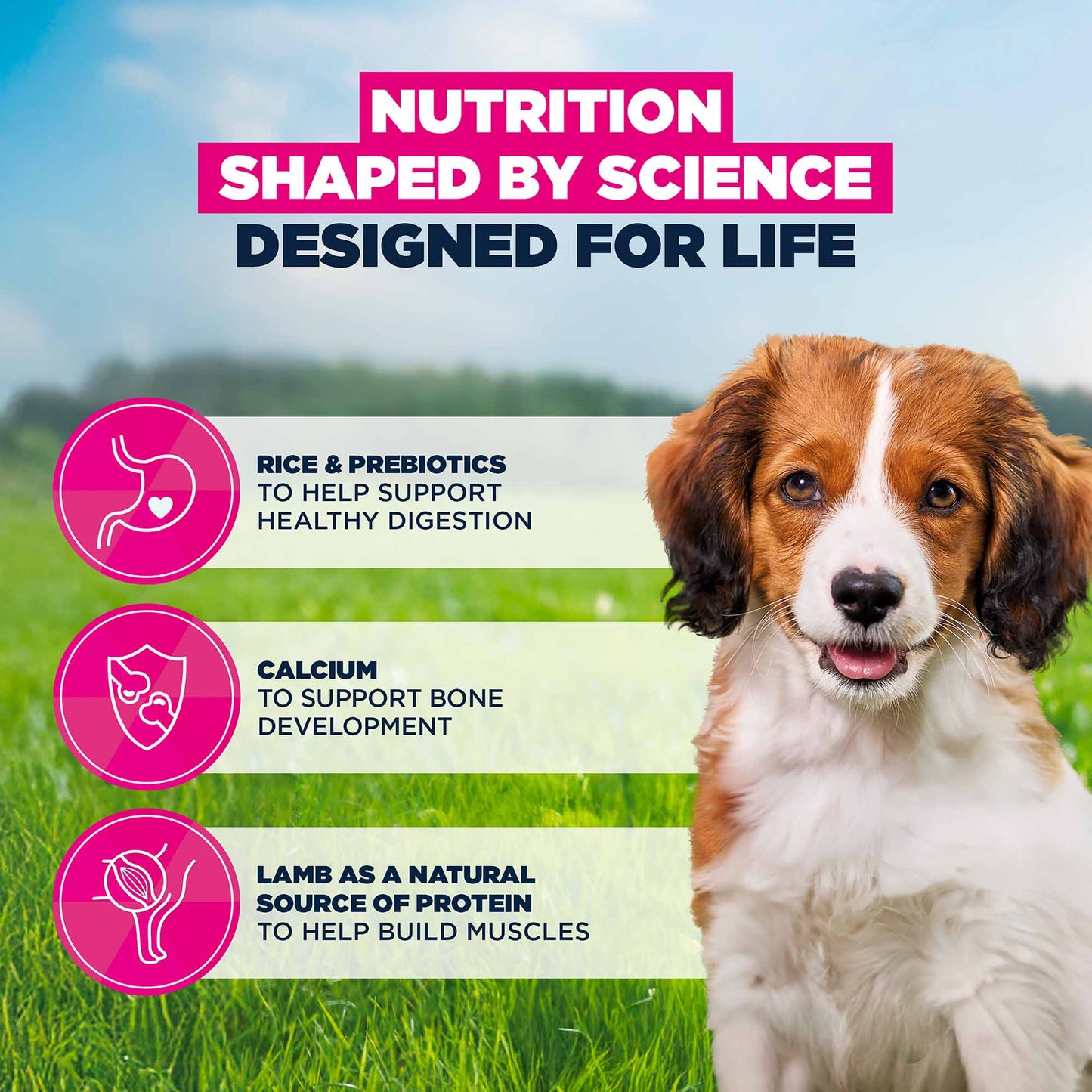 Eukanuba Small/Medium Breed Puppy Dry Dog Food - Lamb & Rice