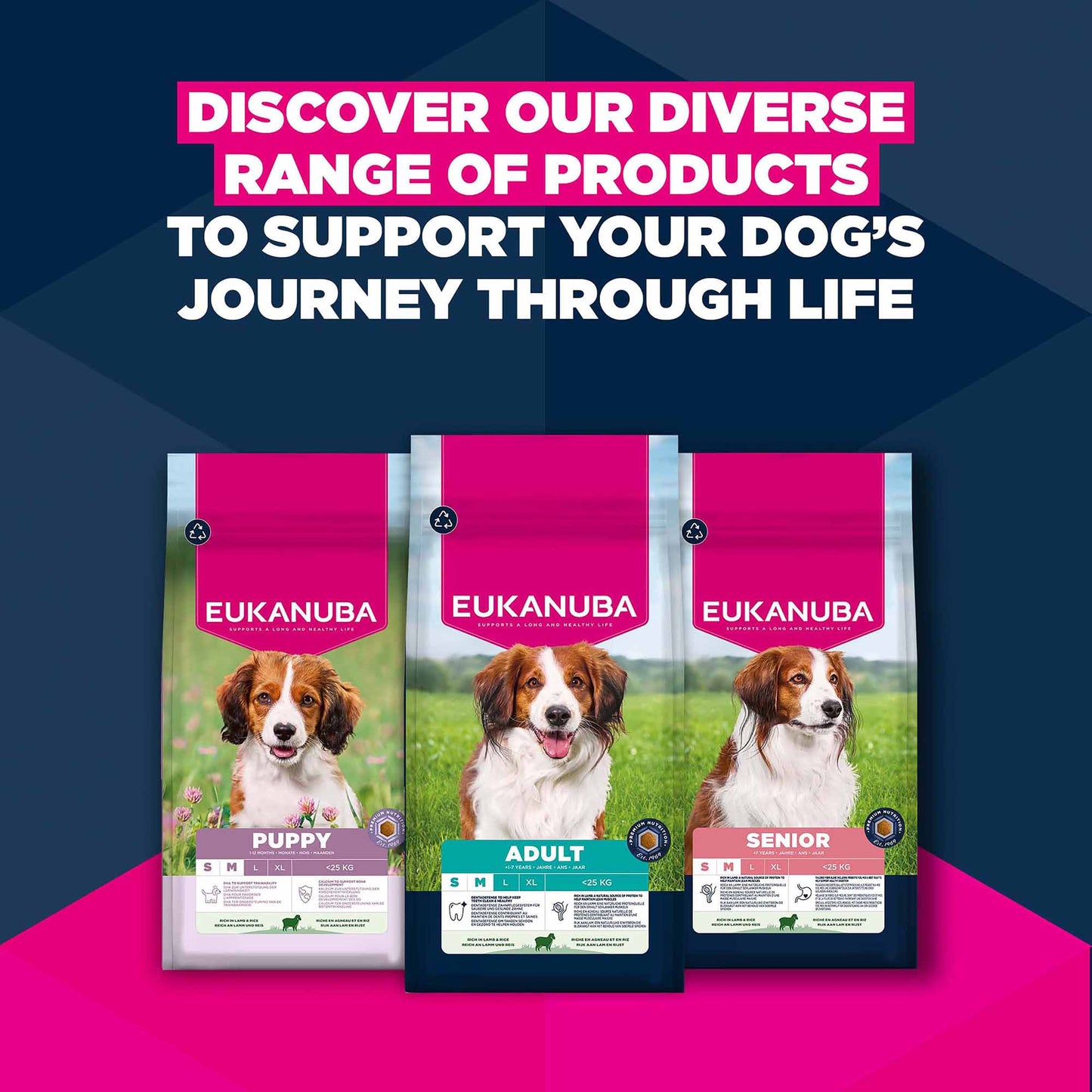 Eukanuba Small/Medium Breed Puppy Dry Dog Food - Lamb & Rice
