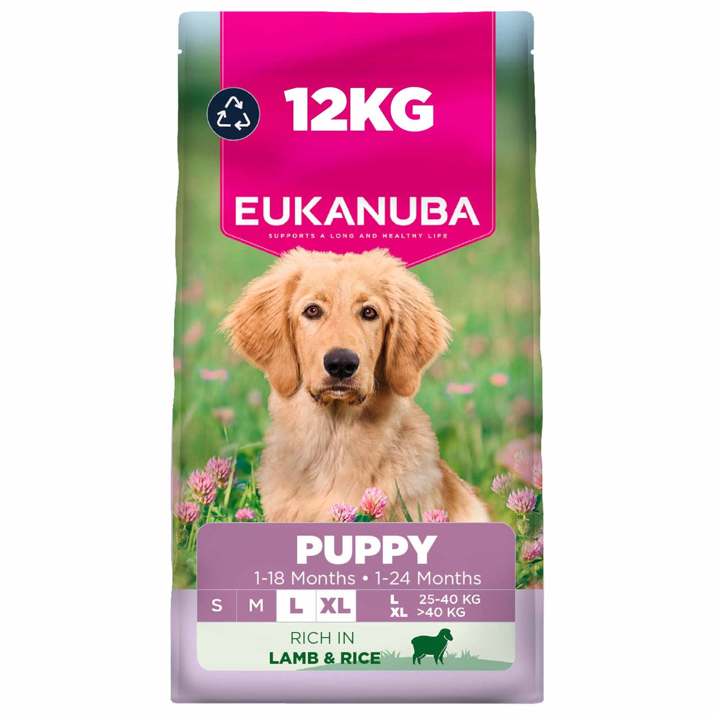 Eukanuba Large Breed Puppy Dry Dog Food - Lamb & Rice