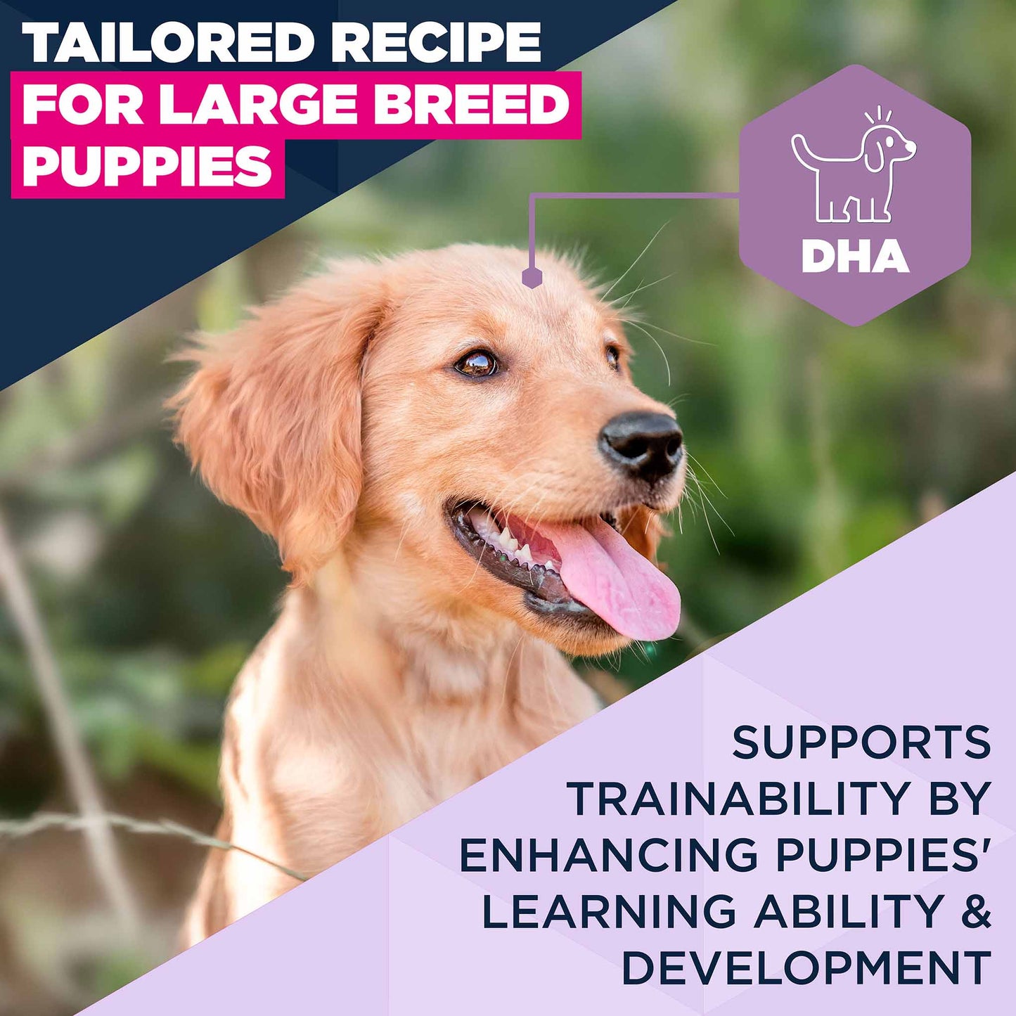 Eukanuba Large Breed Puppy Dry Dog Food - Lamb & Rice