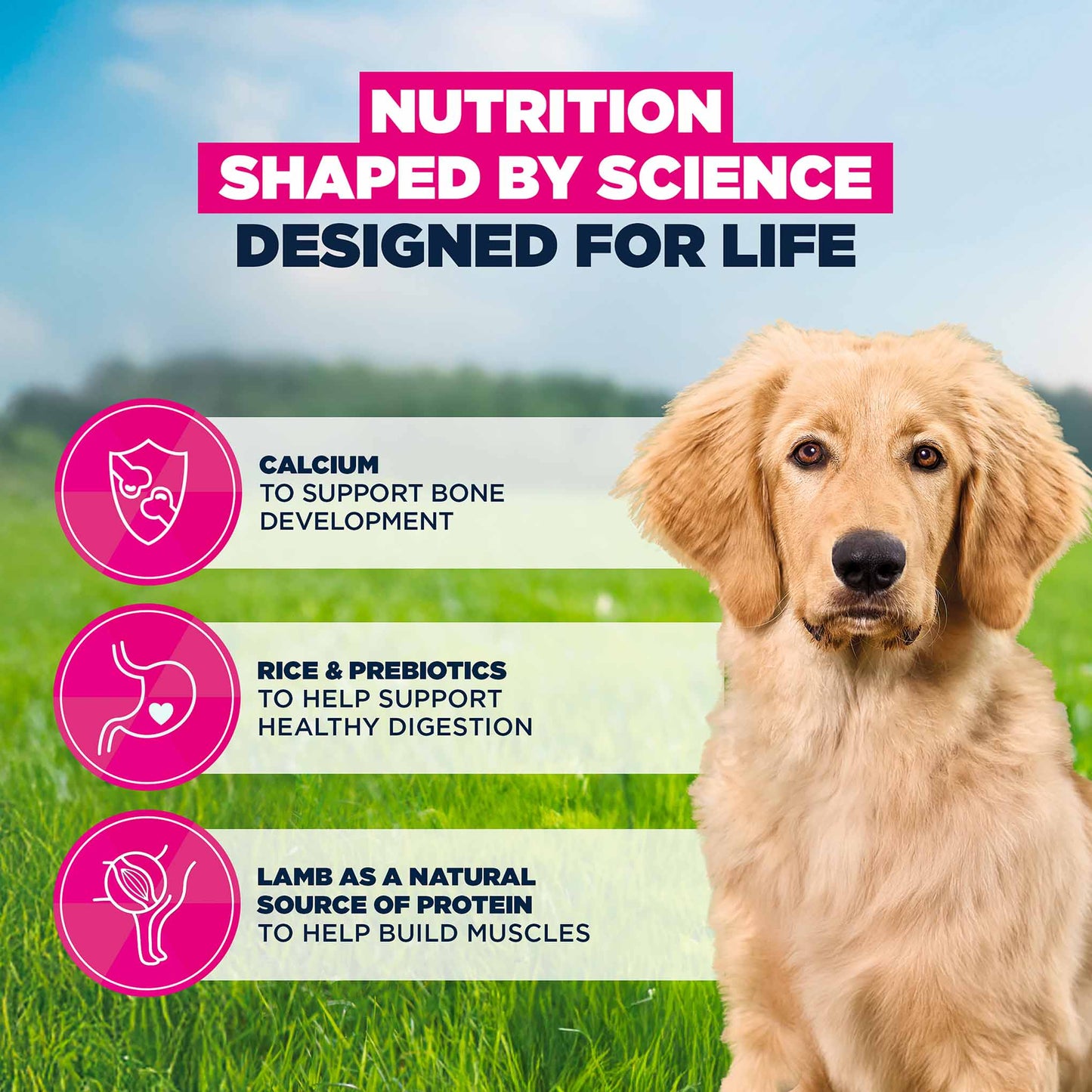 Eukanuba Large Breed Puppy Dry Dog Food - Lamb & Rice