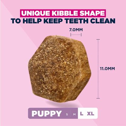 Eukanuba Large Breed Puppy Dry Dog Food - Lamb & Rice
