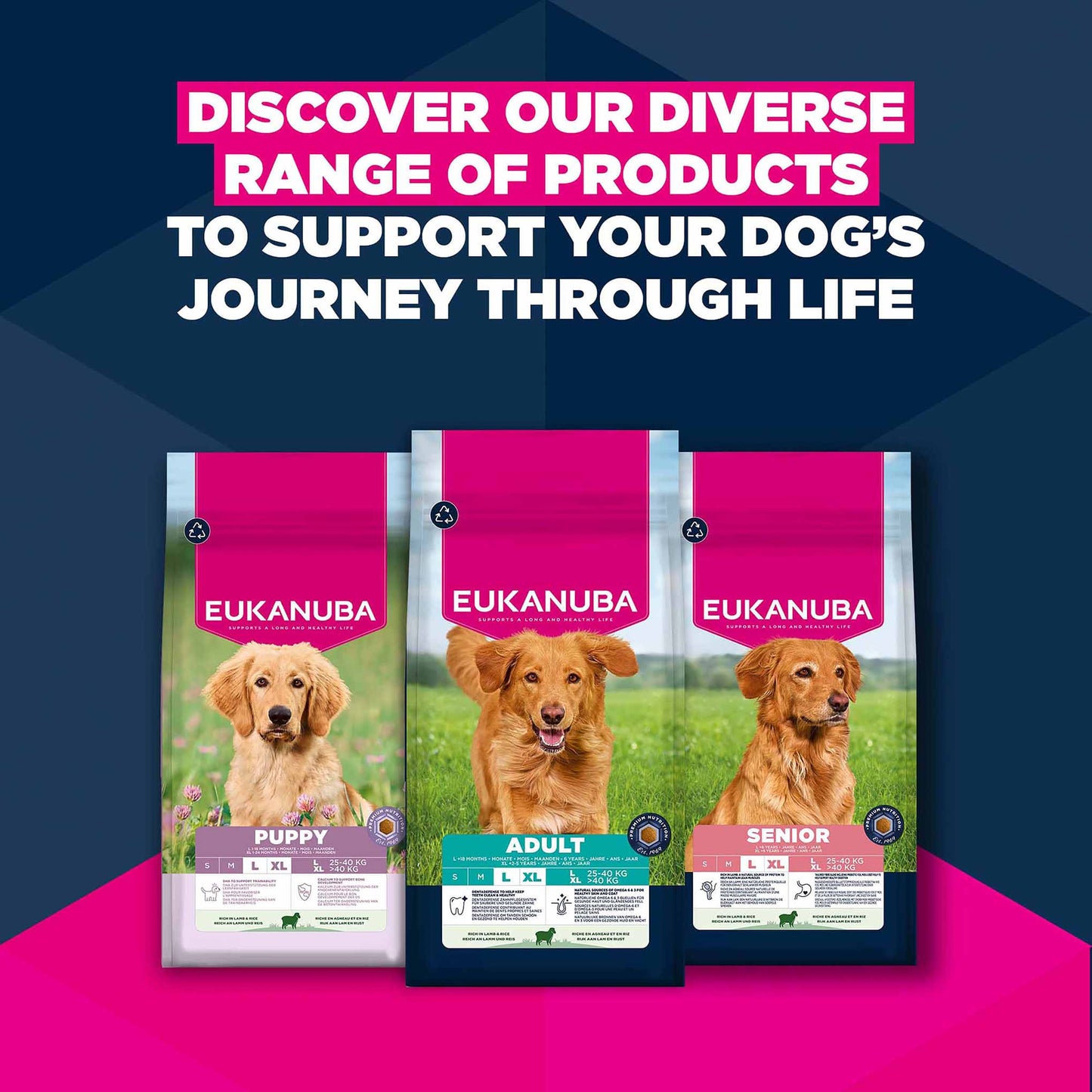 Eukanuba Large Breed Puppy Dry Dog Food - Lamb & Rice