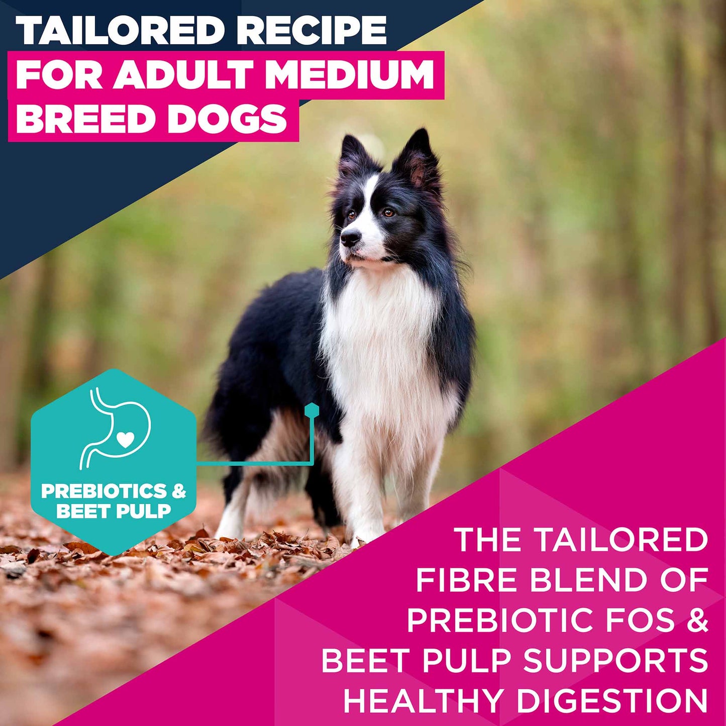 Eukanuba Medium Breed Adult Dry Dog - Chicken