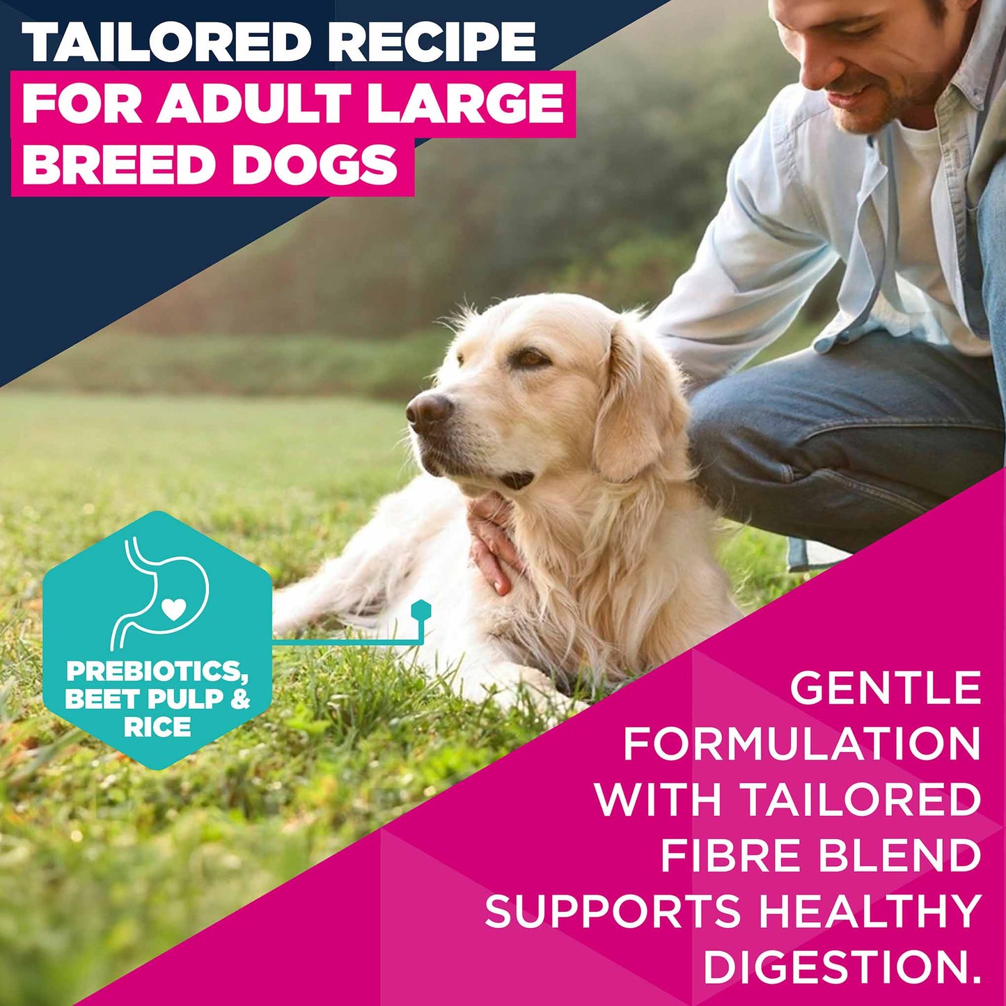 Eukanuba Large Breed Adult Dry Dog Food - Lamb & Rice