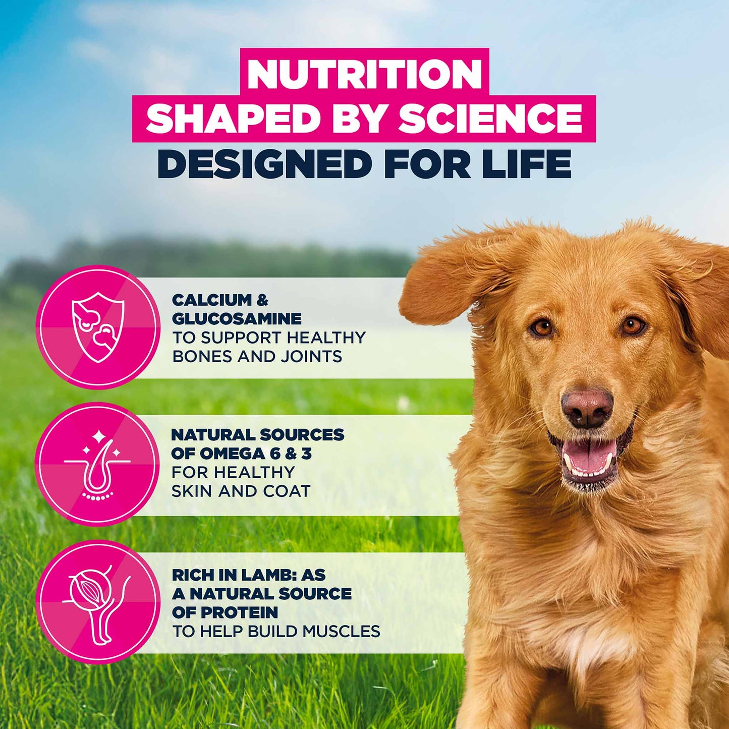 Eukanuba Large Breed Adult Dry Dog Food - Lamb & Rice