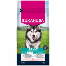 Eukanuba Large Breed Adult Dry Dog Food - Salmon & Barley