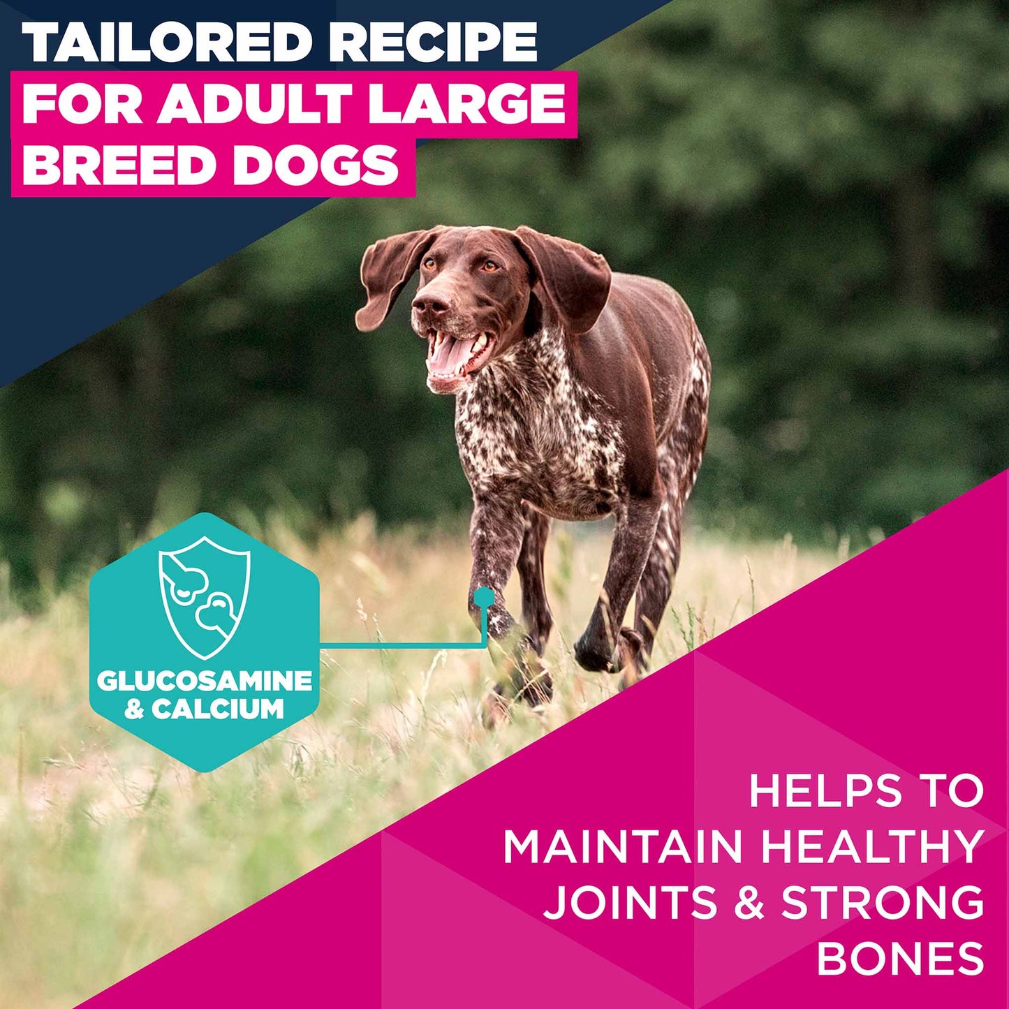 Eukanuba Large Breed Adult Dry Dog Food - Salmon & Barley