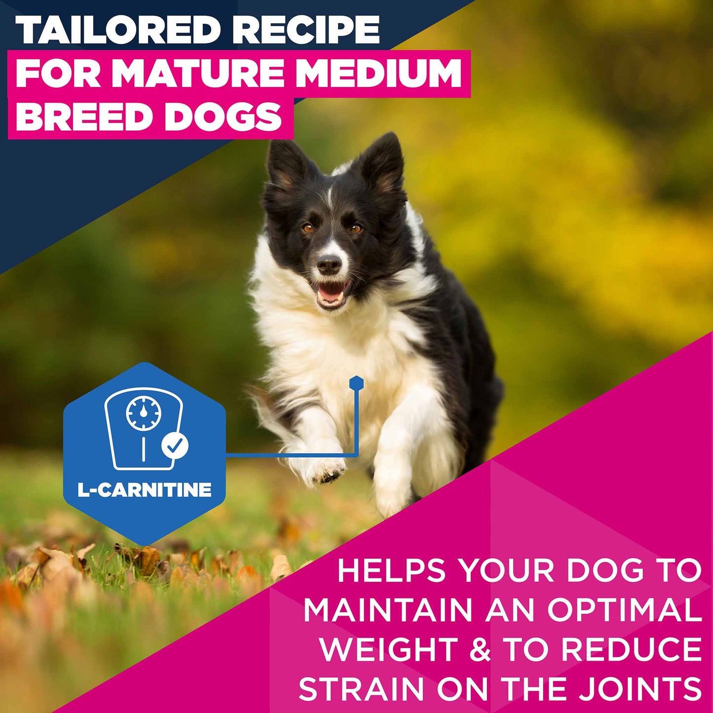 Eukanuba Medium Breed Mature Dog Food - Chicken