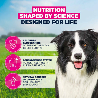 Eukanuba Medium Breed Mature Dog Food - Chicken