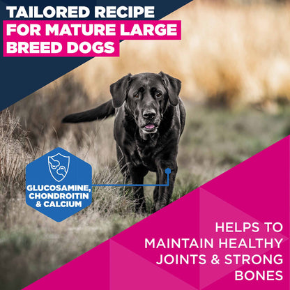 Eukanuba Large Breed Mature Dog Food - Chicken