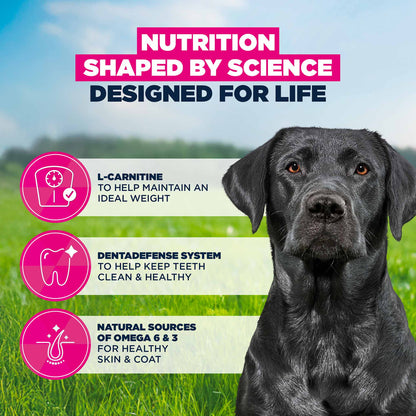 Eukanuba Large Breed Mature Dog Food - Chicken