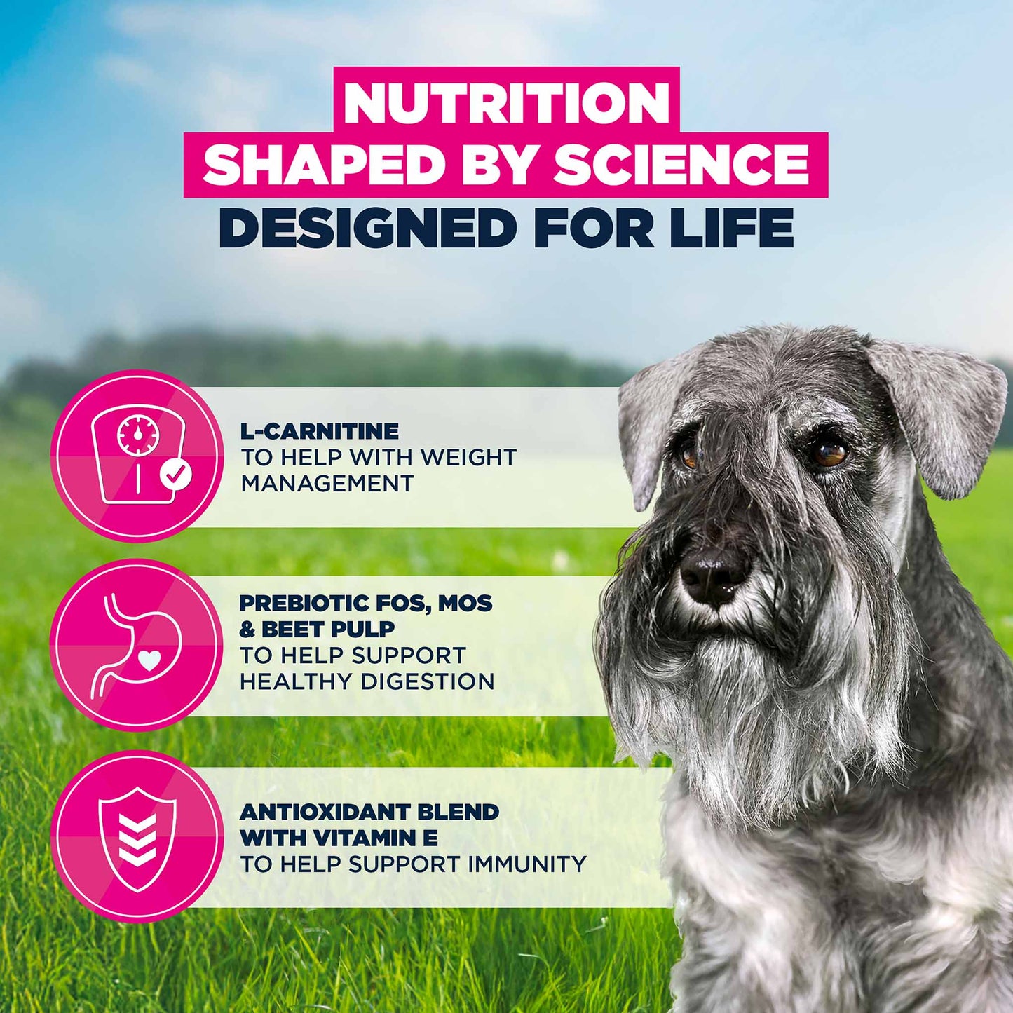Eukanuba Small Breed Senior Dry Dog Food - Chicken