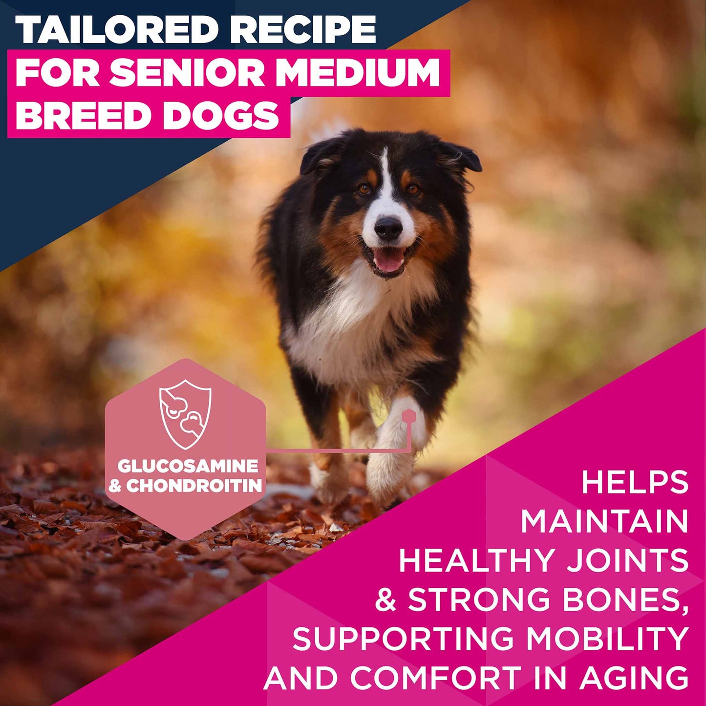 Eukanuba Medium Breed Senior Dry Dog Food - Chicken