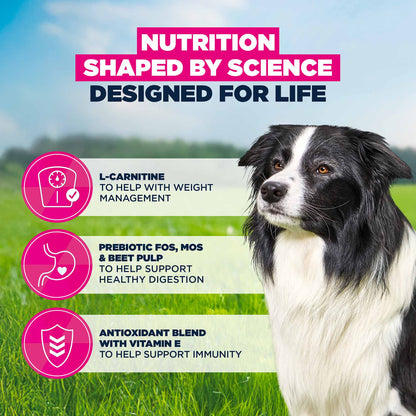 Eukanuba Medium Breed Senior Dry Dog Food - Chicken