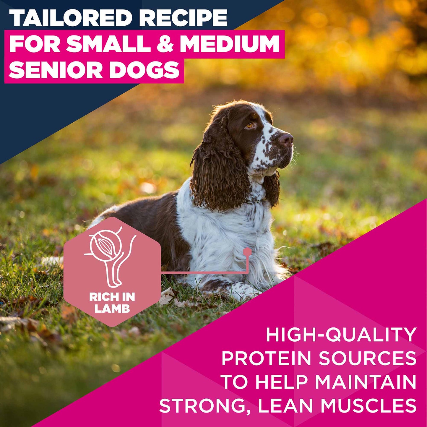 Eukanuba Small/Medium Breed Senior Dry Dog Food - Lamb & Rice