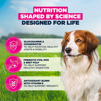 Eukanuba Small/Medium Breed Senior Dry Dog Food - Lamb & Rice