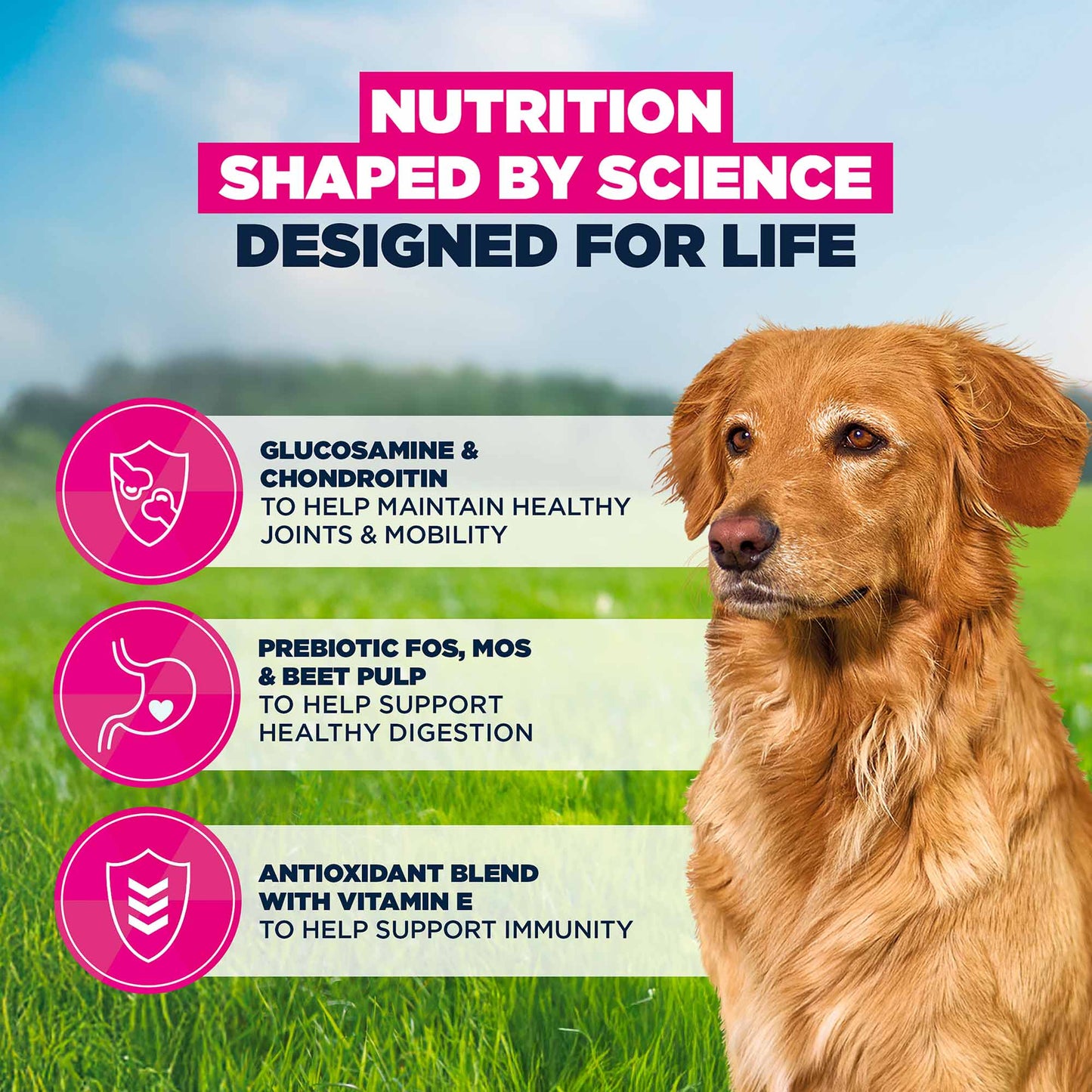 Eukanuba Large Breed Senior Dry Dog Food - Lamb & Rice