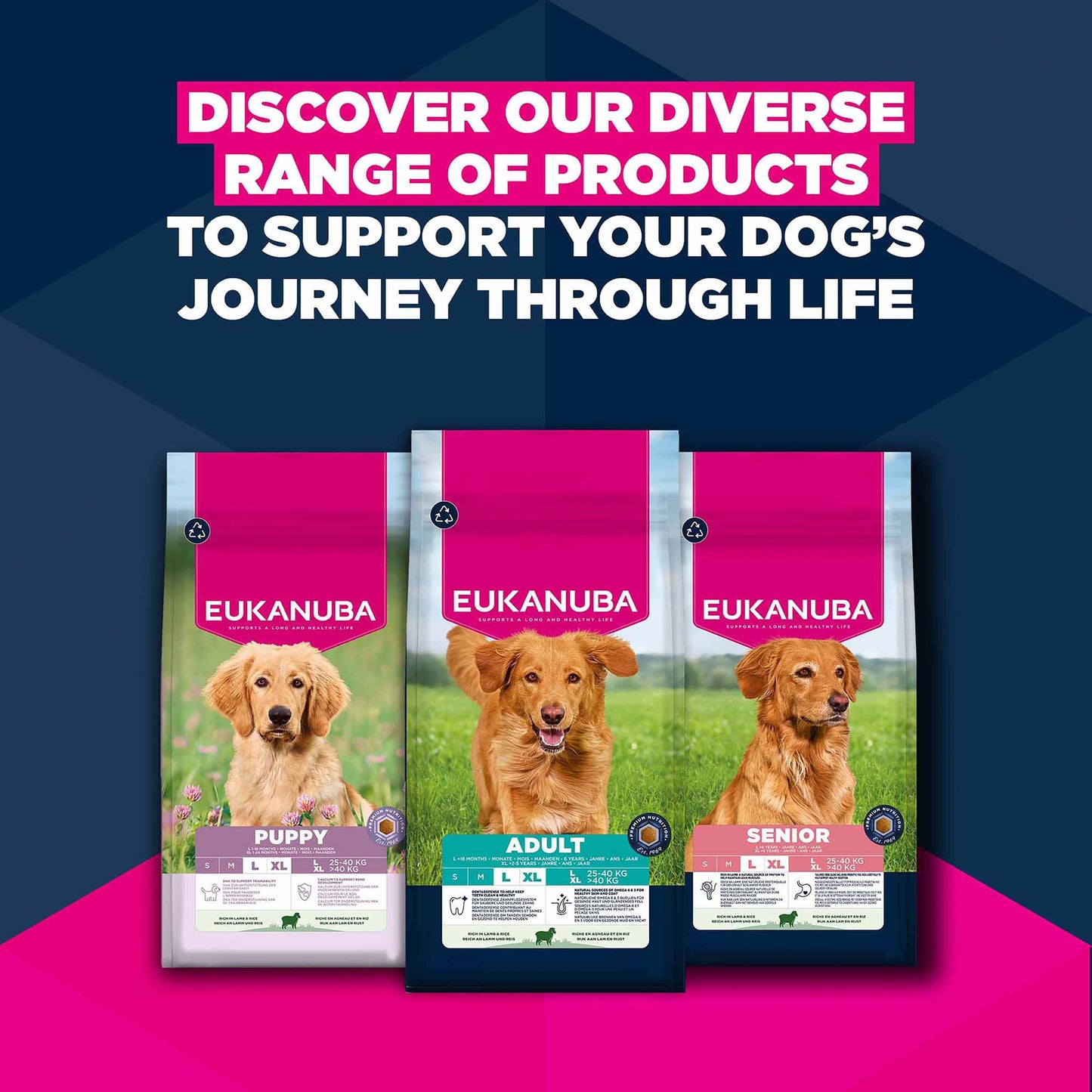 Eukanuba Large Breed Senior Dry Dog Food - Lamb & Rice