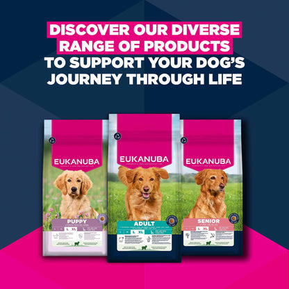 Eukanuba Large Breed Senior Dry Dog Food - Lamb & Rice