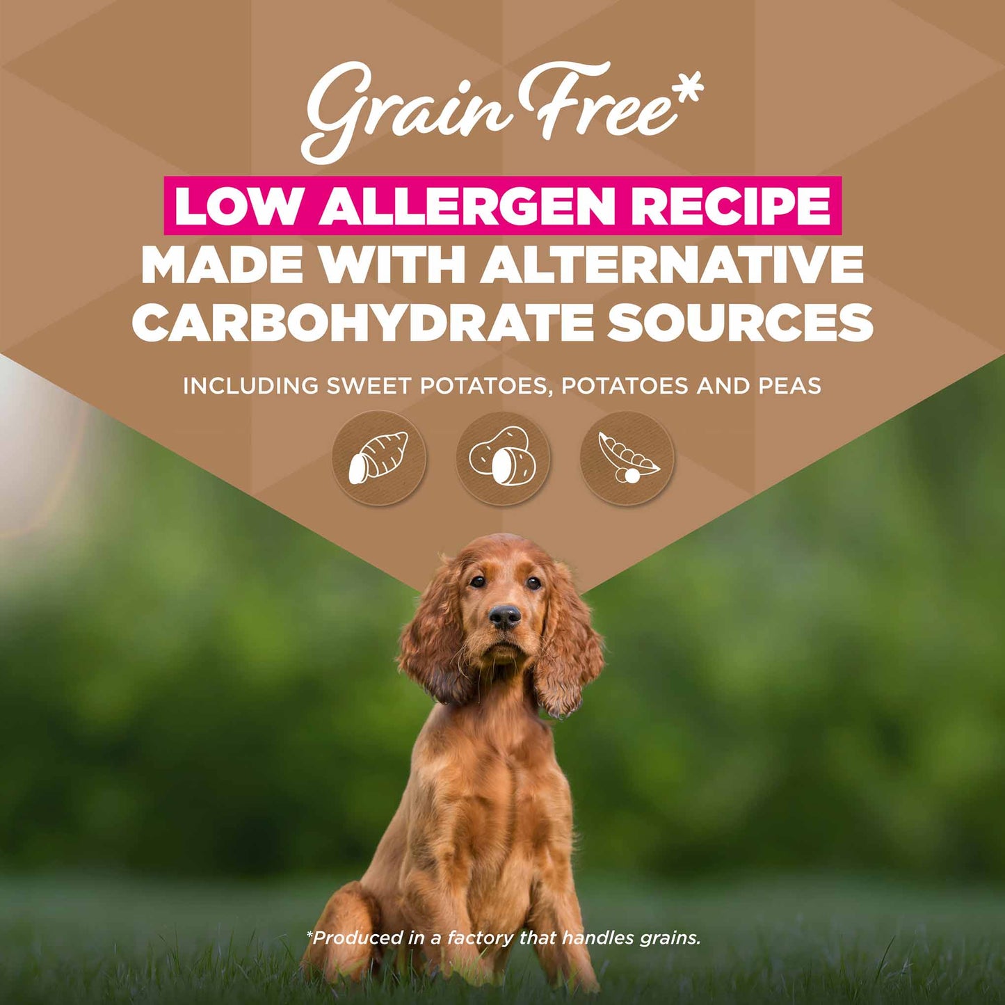 Eukanuba Grain Free Small/Medium Breed Puppy&Junior Dry Dog Food - Ocean Fish