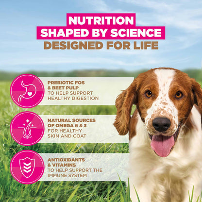 Eukanuba Grain Free Small/Medium Breed Adult Dry Dog Food - Ocean Fish