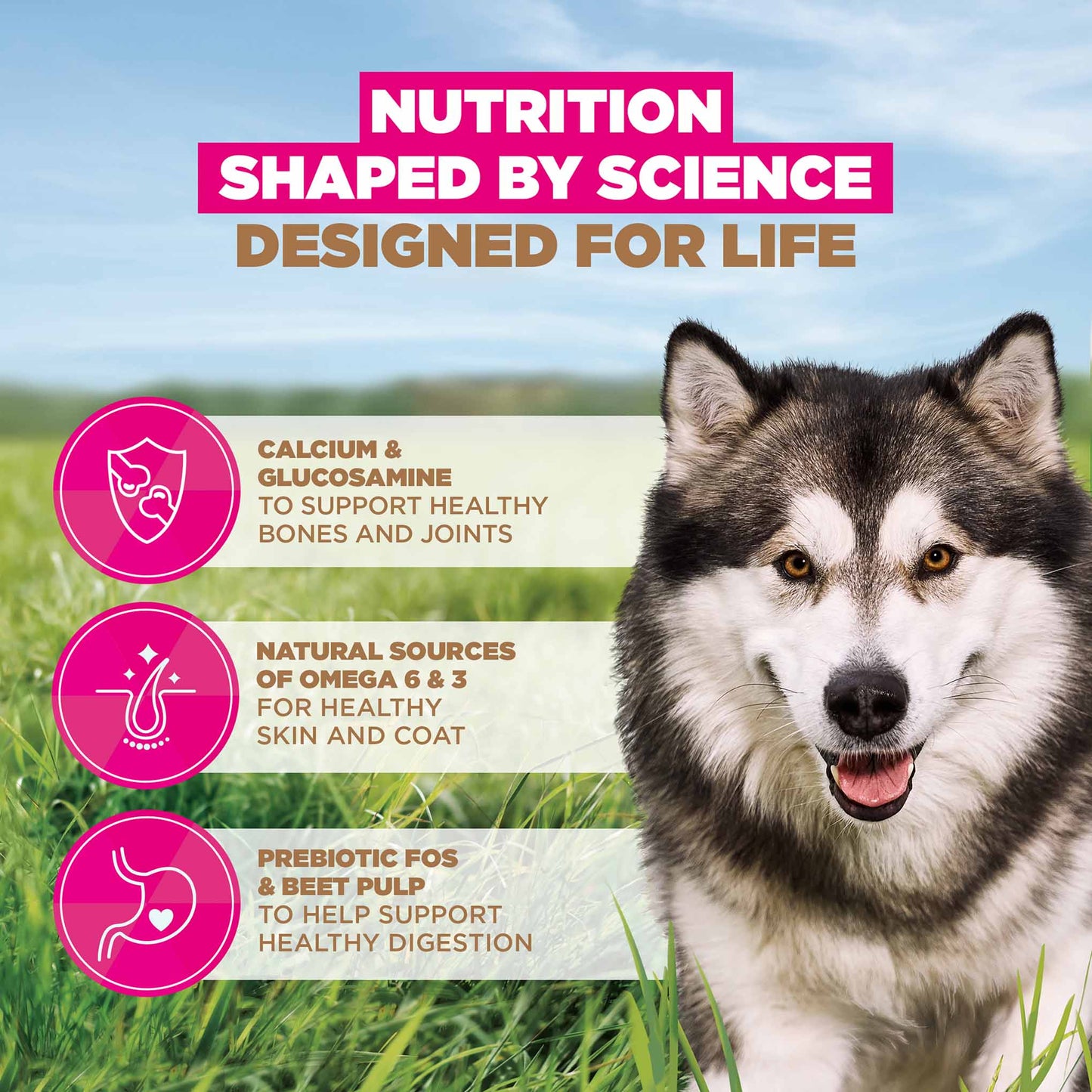 Eukanuba Grain Free Large Breed Adult Dry Dog Food - Ocean Fish