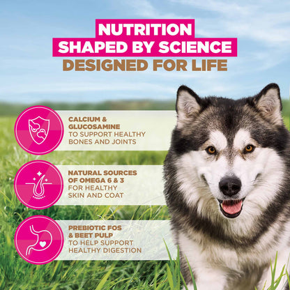 Eukanuba Grain Free Large Breed Adult Dry Dog Food - Ocean Fish