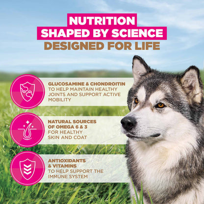 Eukanuba Grain Free Large Breed Senior Dry Dog Food - Ocean Fish