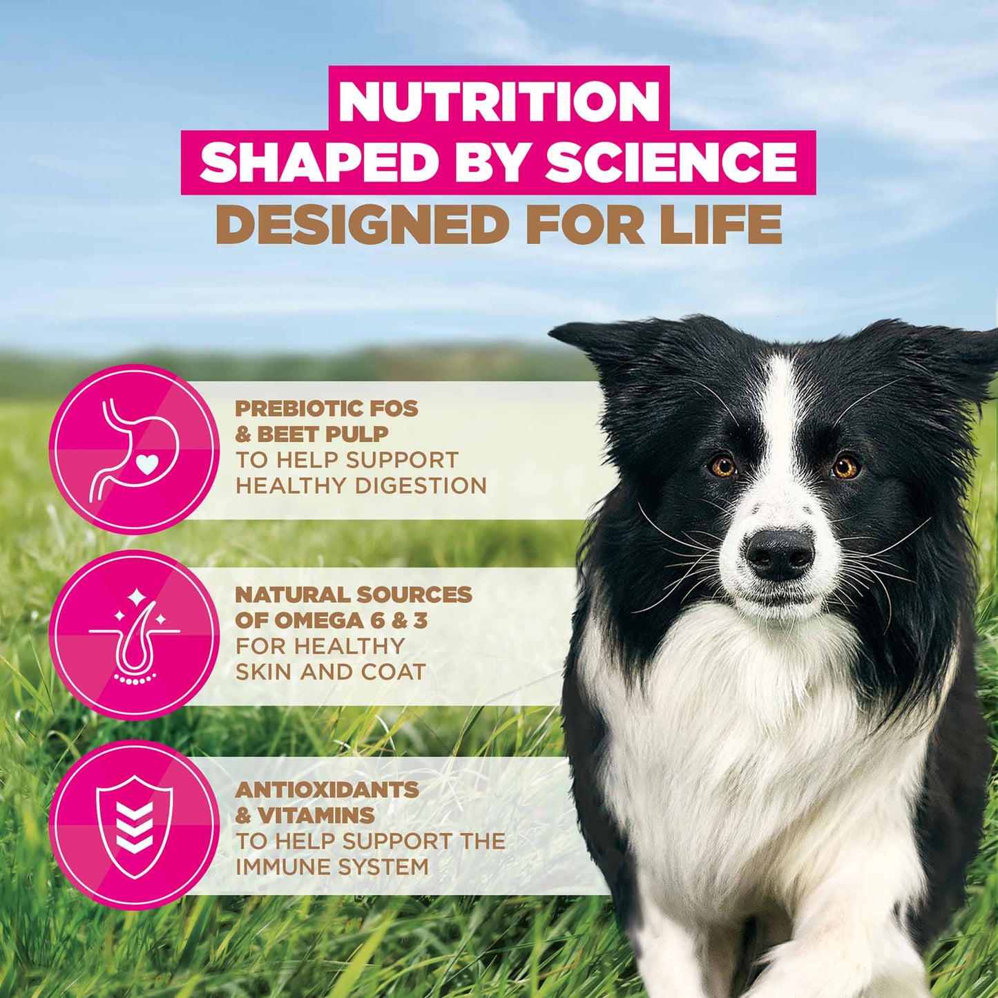 Eukanuba Grain Free Small/Medium Breed Adult Dry Dog Food - Chicken