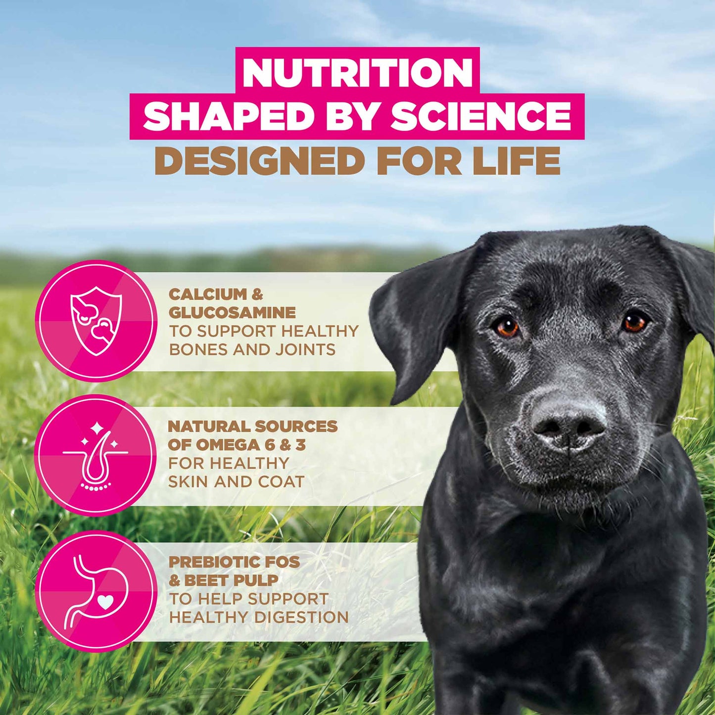 Eukanuba Grain Free Large Breed Adult Dry Dog Food - Chicken