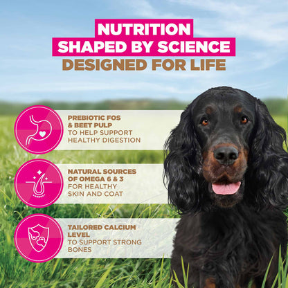 Eukanuba Grain Free Adult Dry Dog Food - Venison