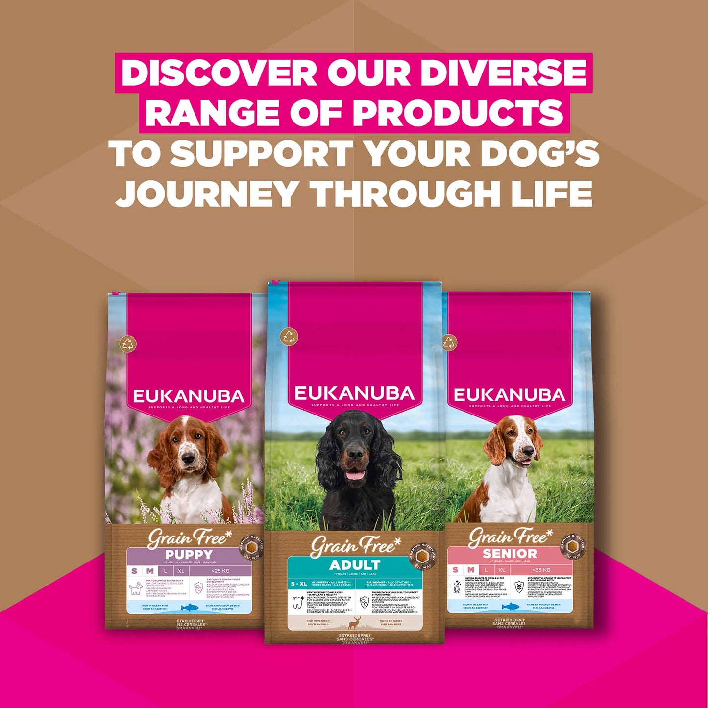 Eukanuba Grain Free Adult Dry Dog Food - Venison