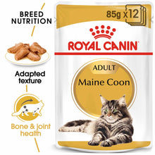 ROYAL CANIN Breed Health Nutrition Maine Coon Adult In Gravy Wet Cat Food - 12x85g Pouches