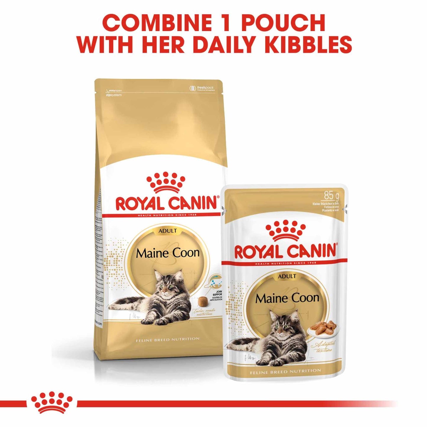 ROYAL CANIN Breed Health Nutrition Maine Coon Adult In Gravy Wet Cat Food - 12x85g Pouches