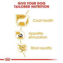 Royal Canin Breed Health Nutrition Yorkshire Terrier Adult Wet Dog Food -12x85g Pouches