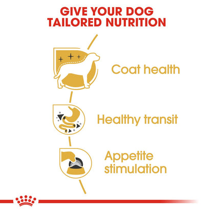 Royal Canin Breed Health Nutrition Chihuahua Adult Wet Dog Food -12x85g Pouches