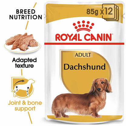 Royal Canin Breed Health Nutrition Dachshund Adult Wet Dog Food - 12x85g Pouches