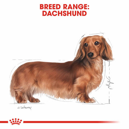 Royal Canin Breed Health Nutrition Dachshund Adult Wet Dog Food - 12x85g Pouches