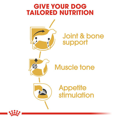 Royal Canin Breed Health Nutrition Dachshund Adult Wet Dog Food - 12x85g Pouches