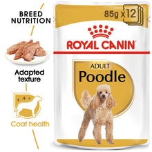 Royal Canin Breed Health Nutrition Poodle Adult Wet Dog Food - 12x85g Pouches