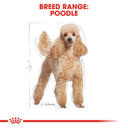 Royal Canin Breed Health Nutrition Poodle Adult Wet Dog Food - 12x85g Pouches