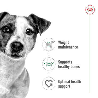 Royal Canin Size Health Nutrition Mini Adult Wet Dog Food in Gravy - 12x85g Pouches
